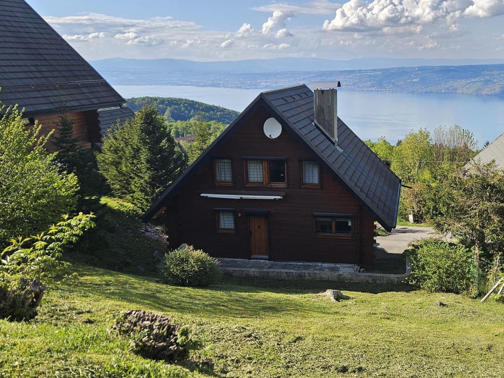 Chalet Les Alpages Vue Panoramique Sur Le Lac Leman Thollon-les-Memises Bagian luar foto